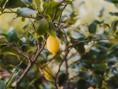 galerie home weingarten 01