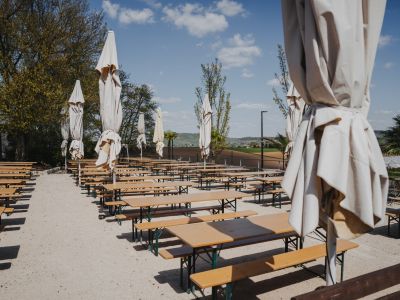 galerie home weingarten 02